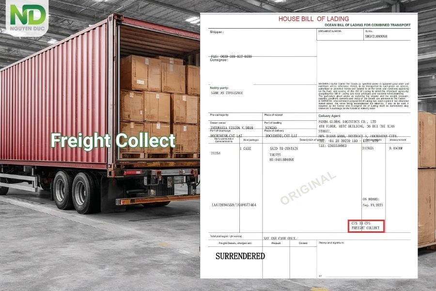 Freight collect là gì? Đặc điểm và bản chất